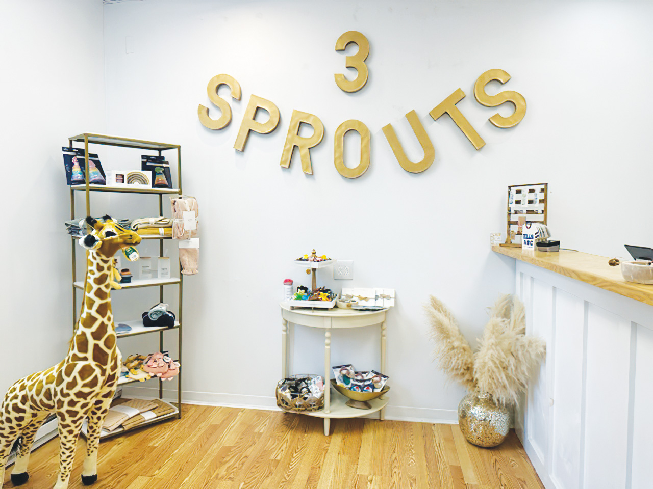 3 Sprouts Children's Boutique New Shop in the Village of Ellicottville -  The Villager