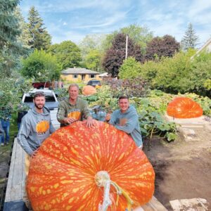 Giant Pumpkin Image