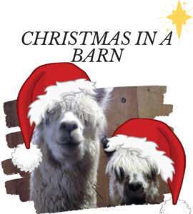 Christmas in a barn logo