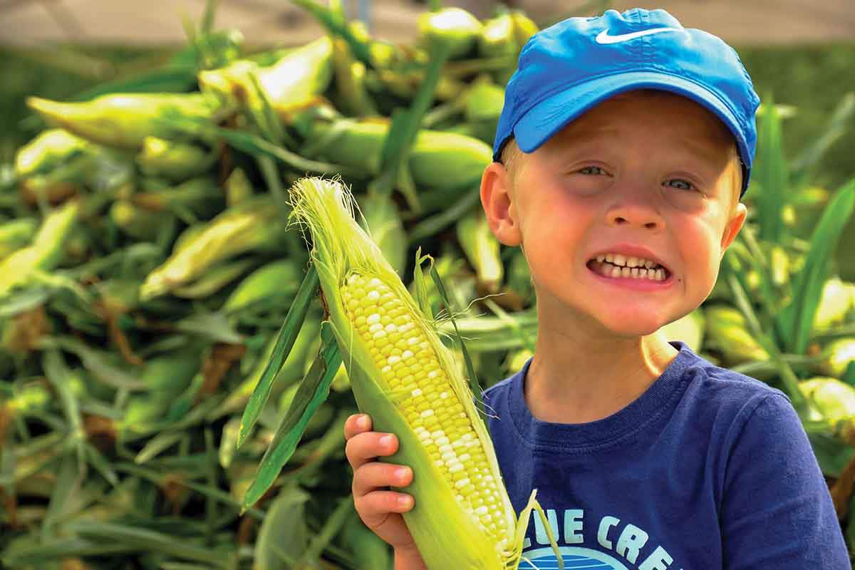 Eden Corn Festival Celebrating Summer, July 31- August 1 - The Villager